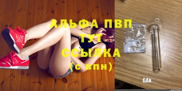 ГАЛЛЮЦИНОГЕННЫЕ ГРИБЫ Вяземский